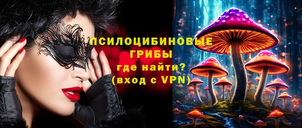 герыч Бугульма